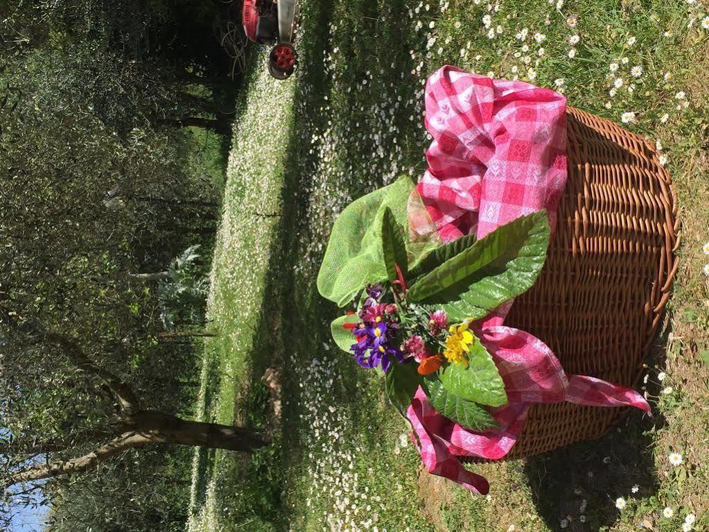 סיינה Hotel Ristorante Piccolo Chianti מראה חיצוני תמונה